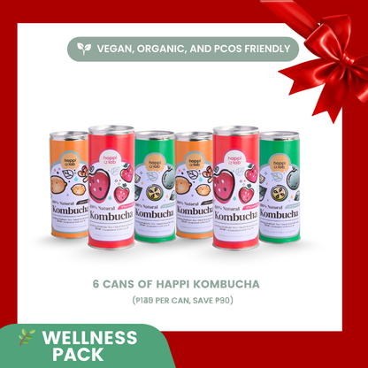 Happi Can Kombucha 250ml