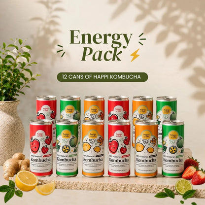 Happi Canned Kombucha