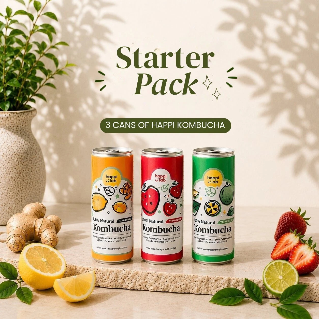 Happi Canned Kombucha