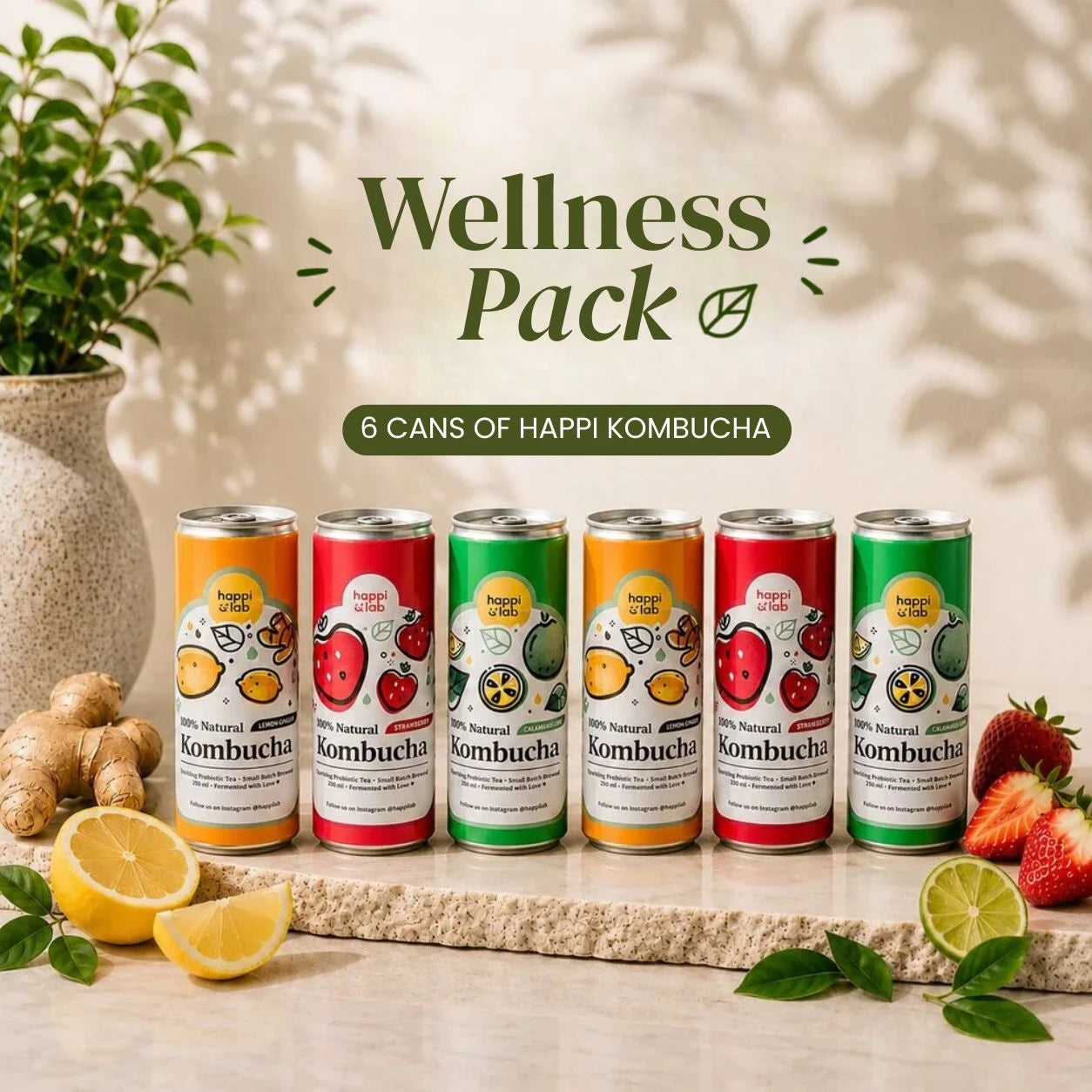 Happi Canned Kombucha