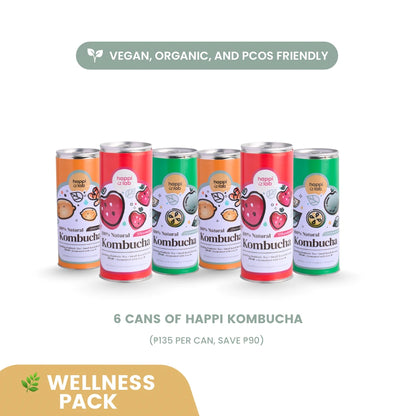 Happi Can Kombucha 250ml